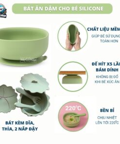 set an dam silicon 1