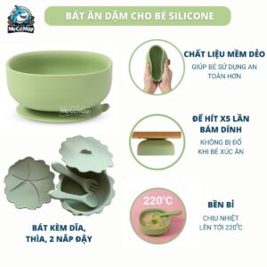 set an dam silicon 1