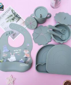 set an dam silicon 24