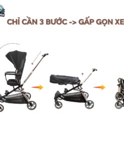 xe day baobaohao v16 12