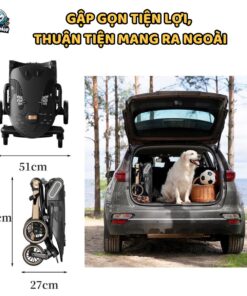 xe day baobaohao v16 19