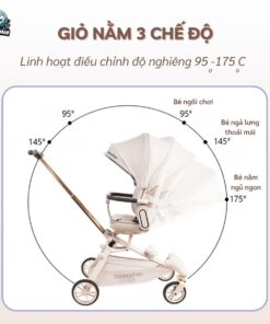 xe day baobaohao v16 2