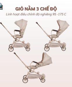 xe day baobaohao v16 3