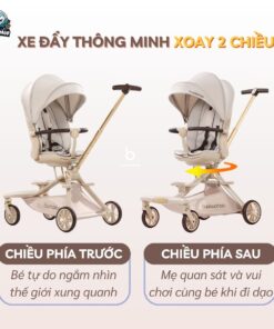 xe day baobaohao v16 36