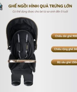 xe day baobaohao v9 c 11