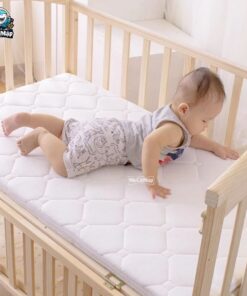 Nệm xơ dừa cho bé Pakey 37 Nệm xơ dừa cho bé Pakey