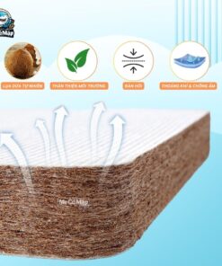 Nệm xơ dừa cho bé Pakey 31 Nệm xơ dừa cho bé Pakey