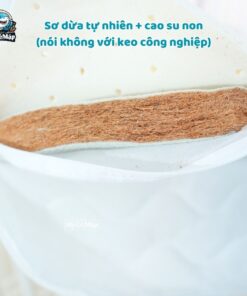 Nệm xơ dừa cho bé Pakey 40 Nệm xơ dừa cho bé Pakey