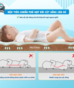 Nệm xơ dừa cho bé Pakey 30 Nệm xơ dừa cho bé Pakey