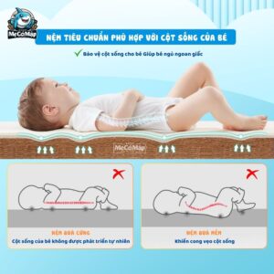 Nệm xơ dừa cho bé Pakey