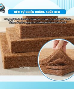 Nệm xơ dừa cho bé Pakey 29 Nệm xơ dừa cho bé Pakey