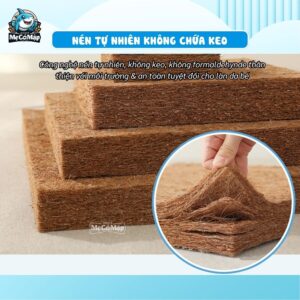Nệm xơ dừa cho bé Pakey