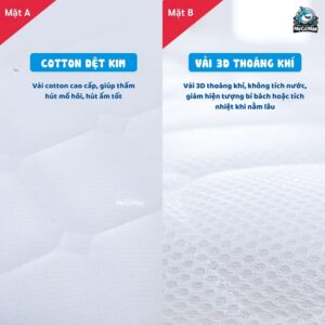 Nệm xơ dừa cho bé Pakey