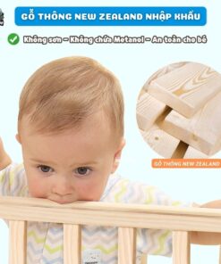 Nôi cũi Pakey CG01 kèm nệm