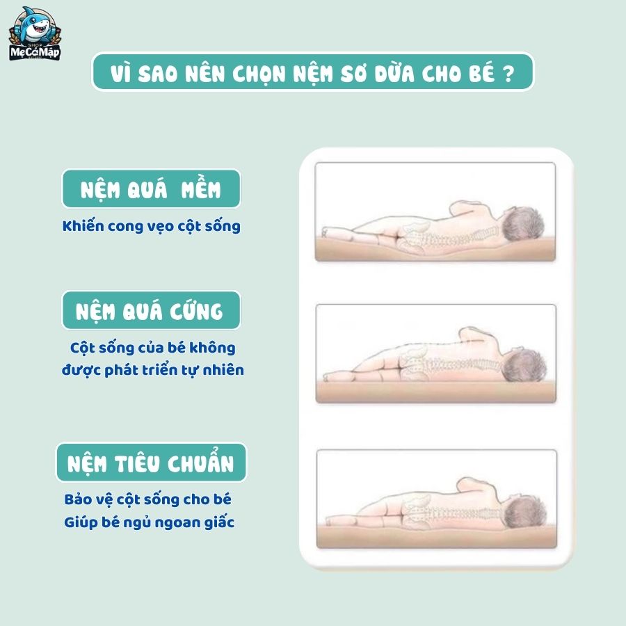 nệm xơ dừa