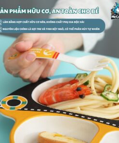 Set ăn dặm sợi tre B007 máy bay